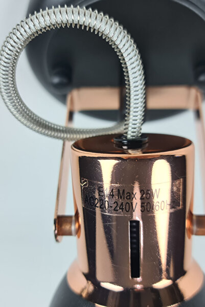 Binbirreyon Tekli Tavan Lambası Aplik Spot Lamba Tekli Spot Ayarlanabilir Siyah JB042