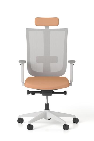 Bürotime Move Yönetici Koltuğu, Plastik Ayak, Gri & Somon