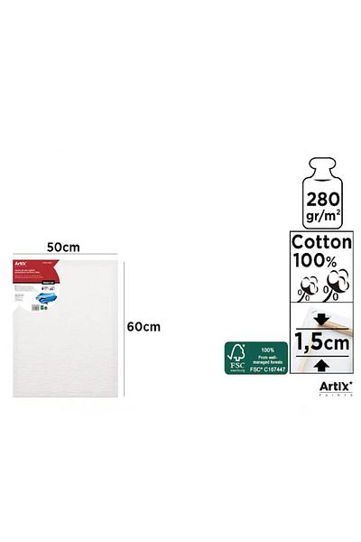 Artix Painting Canvas - 50 X 60 Cm