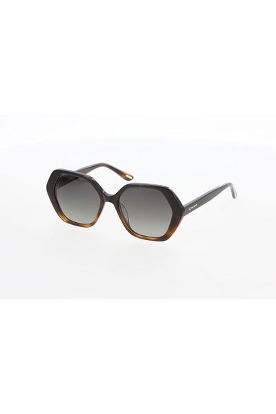 Osse Sunglasses