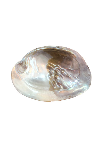 Foça Bitkisel Ürünler Doğal Hediyelik Sedef İncili Deniz Kabuğu Sunum Tütsülü...