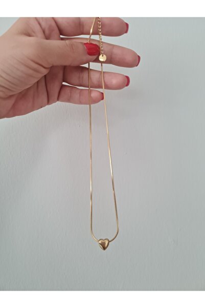 shesra Minimal Kalpli Kadın Çelik Kolye