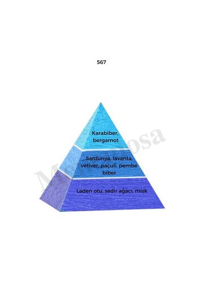 Bargello 567 Erkek Parfüm Edp 50 ml Fresh No:567 Body Mist Erkek Edt 210 ml Fresh - Mnms567bm