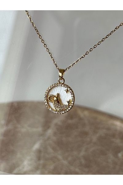 Reorah Collection Horoscope Icons Steel Necklace-Aries