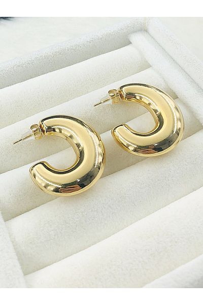 DS DİAMONDSHOP Steel Earring Half Ring Stud Model Byçkp- 202503466