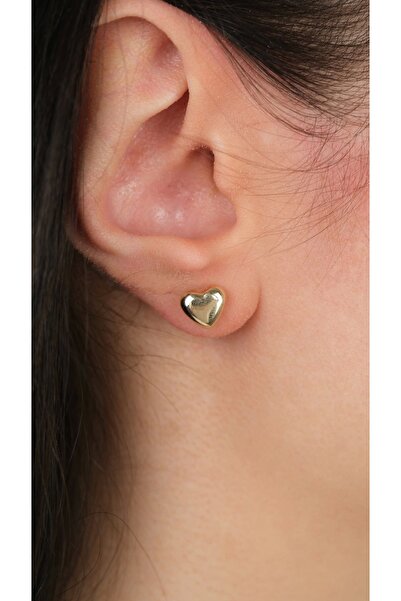 Arpaş 14 Ayar Altın Kalpli Vidalı Küpe