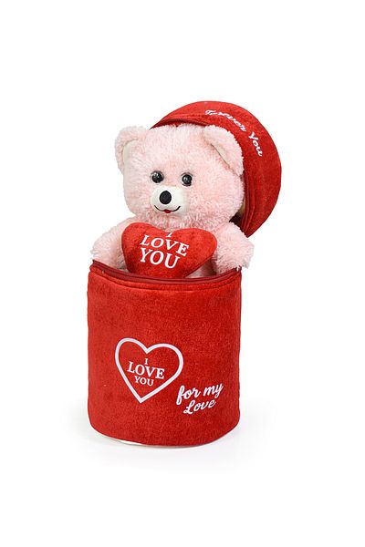 Pababo (I Love You) Written Heart Teddy Bear with Special Plush Bag - Cute Cinnamon Colored Plush Teddy Bear