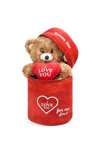 Pababo (I Love You) Written Heart Teddy Bear with Special Plush Bag - Cute Cinnamon Colored Plush Teddy Bear
