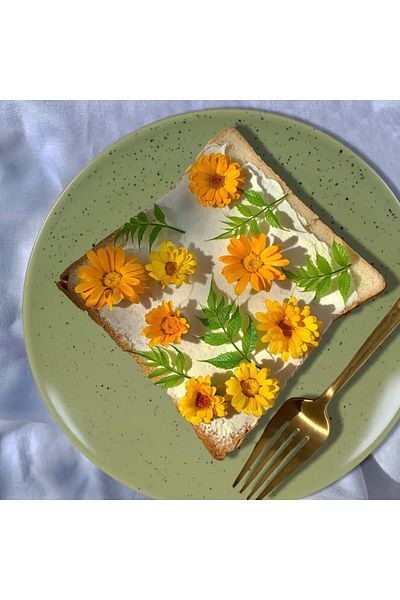 Cesiro 12-piece plate set, for 4 people, Sage, Cesiro, Matte Green with black dots