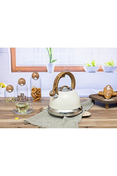 Zilan Ρετρό βραστήρας από ανοξείδωτο ατσάλι με σφυρίχτρα ZLN1290, συμβατός με αέριο, ηλεκτρικό και επαγωγικό, 3,5 λίτρα