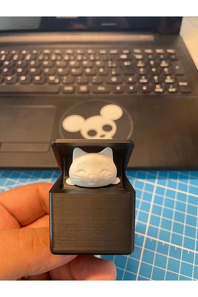 Atsu 3D Animated Key Strap with Surprise Cat