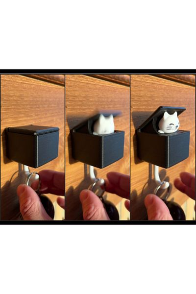 Atsu 3D Animated Key Strap with Surprise Cat