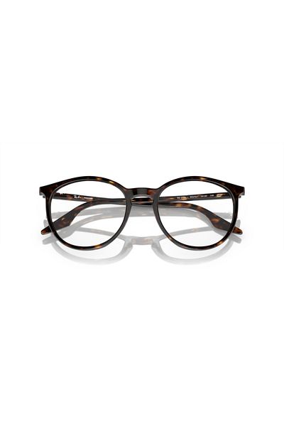 Ray-Ban Ray Ban Unisex Phantos Sunglasses- Rb 2204 - Lense Size:54mm - Havana