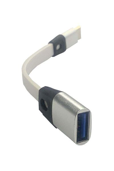 Generic Type-C to USB Female Adapter OTG 15CM - SILVER