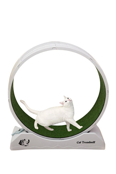 KidLe جهاز المشي للقطط - عجلة تمارين للقطط للياقة البدنية والصحة للاستخدام الداخلي