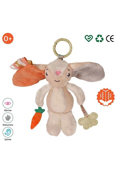 Been My Vibrating Companion Rabbit Shoes