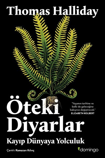 Domingo Yayınevi Öteki Diyarlar Kayıp Dünyaya Yolculuk