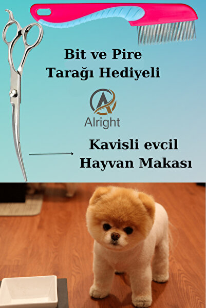 Alright Kavisli Gümüş Profesyonel Evcil Hayvan Köpek Tıraş ve Tasarım Makası+...