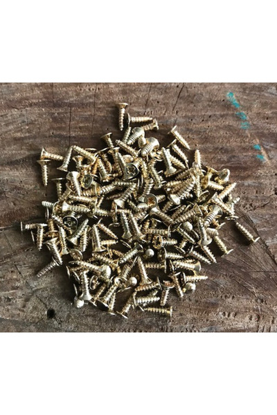 DMR SARI RENK ASKI VİDASI MENTEŞE VİDASI KLİPS VİDASI 9,5MM MİNİ VİDA 20 ADET