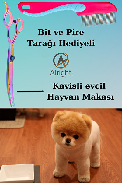 Alright Kavisli Rainbow Profesyonel Evcil Hayvan Köpek Tıraş ve Tasarım Makası