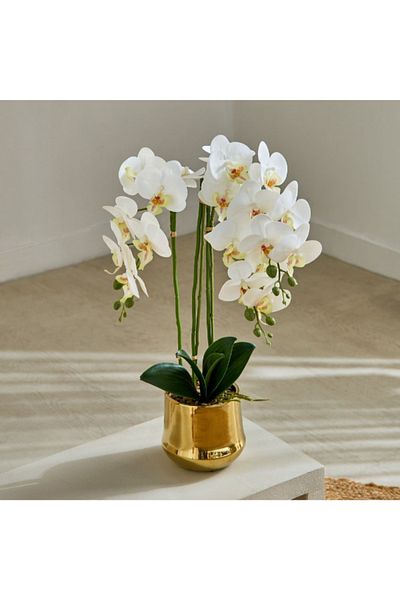 Home Box Areos Orchid Flower Arrangement with Ceramic Pot - 35x35x68 cm