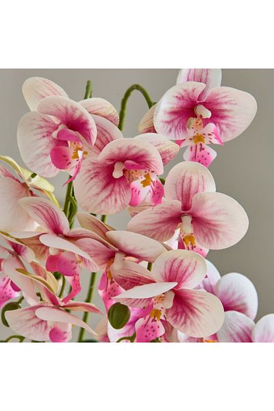 Home Box Areos Orchid Flower Arrangement with Hammered Ceramic Pot - 52 cm