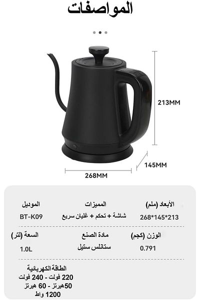 INVEIN Electric Kettle for Specialty Coffee with Temperature Control and Stabilization - 1 Liter, Fast Heating and Professional Pouring