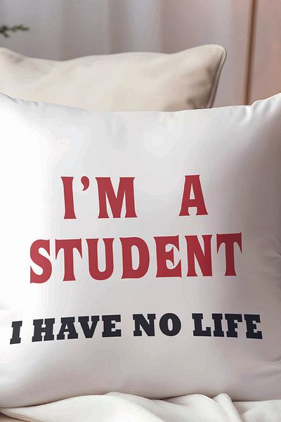 qoeuyl boutique I'M a Student I Have No Life Student Printed Fiber Filled Gift Pillow