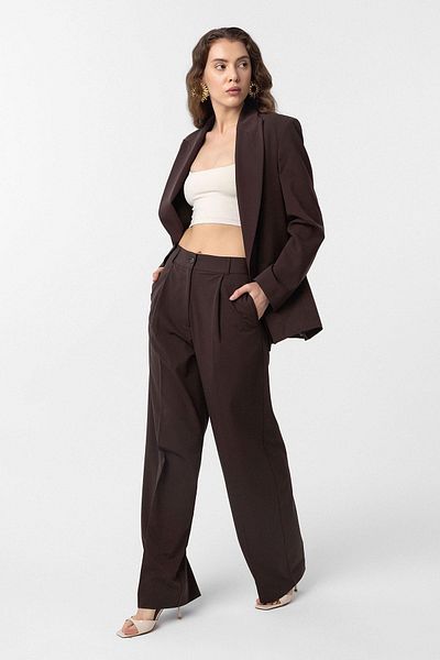 Antioch Brown Pleated Women's Trousers