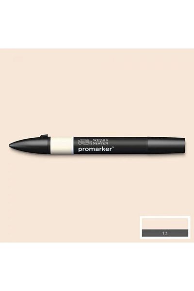 Winsor Newton قلم رسم برسومات كحولية مزدوجة الأطراف من بروماركر، اللوز 216 (O819)