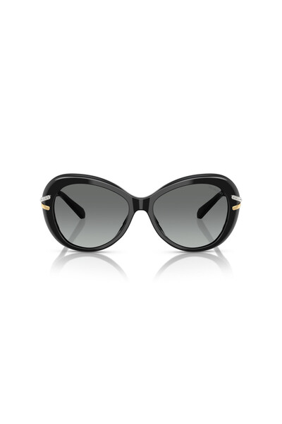 Swarovski Sunglasses Sk6026 56 100111