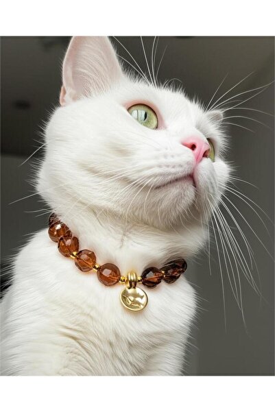 BeuBella Aksesuar Kahverengi Boncuklu Gold Detay Kedi ve Küçük Irk Köpek Tasması
