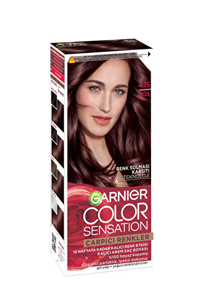 Garnier Çarpıcı Renkler, 4.15 Buzlu Kestane Kahve, Kalıcı Krem Saç Boyası, Demikit