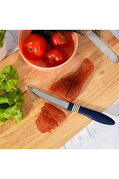 TRAMONTINA Since 1911, Made In Brazil - Cor&cor 2 Pieces Steak Knife Set With Stainless Steel Blade