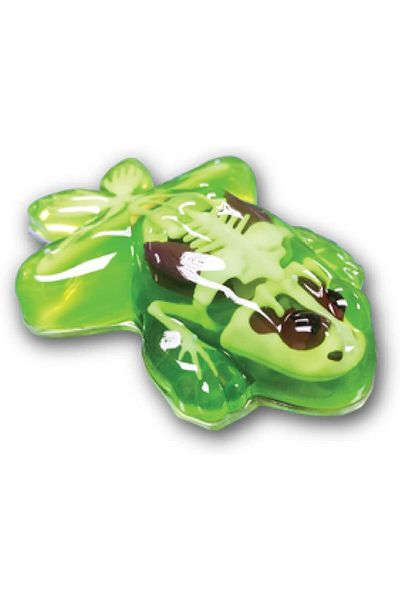 Slimy تشريحها في صندوق هدايا - ضفدع، 38070