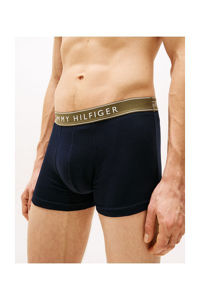 Tommy Hilfiger 3P TRUNK WB чохол для автореєстрації