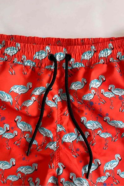 AYYILDIZ 845 Men's Orange Flamingo Patterned Swim Shorts