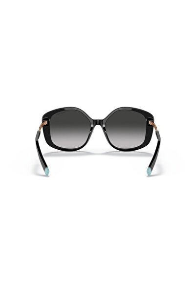Vogue Tiffany Woman Irregular Sunglasses- Tf 4192 - Lense Size:54mm - Rubedo
