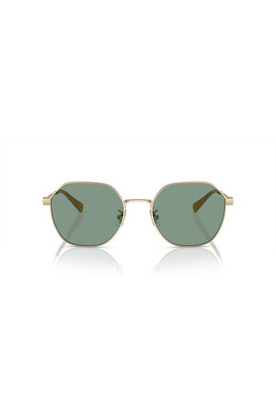 Coach Man Irregular Sunglasses- Hc 7155 - Lense Size:54mm - Light Gold Satin Color