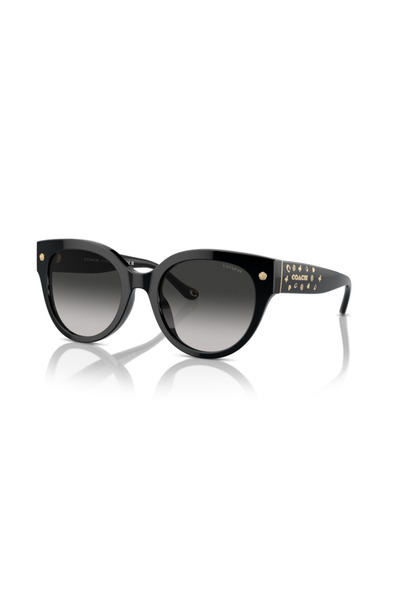 Coach Woman Round Sunglasses- Hc 8393u - Lense Size:53mm - Black