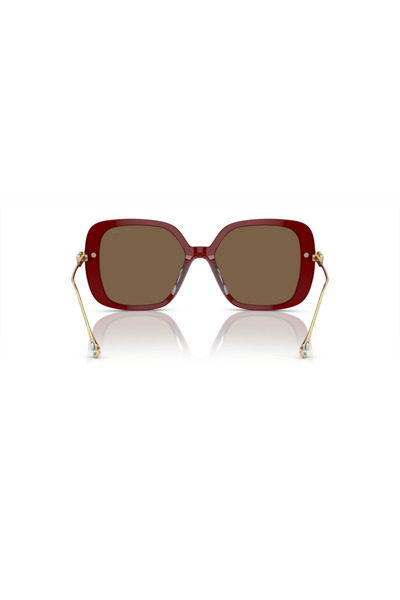 Swarovski Woman Pillow Sunglasses- Sk 6011 - Lense Size:55mm - Burgundy Trnasparent