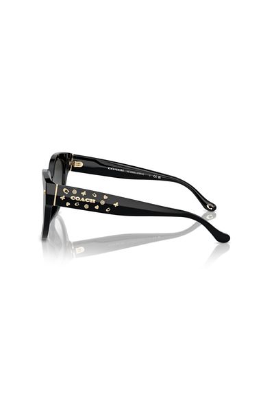 Coach Woman Round Sunglasses- Hc 8393u - Lense Size:53mm - Black