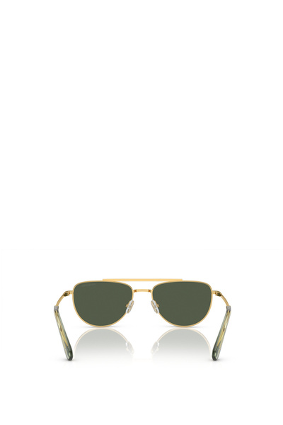 Swarovski Woman Irregular Sunglasses- Sk 7007 - Lense Size:53mm - Gold