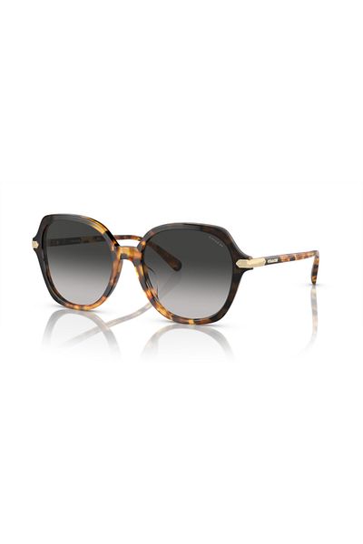 Coach Woman Round Sunglasses- Hc 8377u - Lense Size:55mm - Honey Tortoise Black Gradient