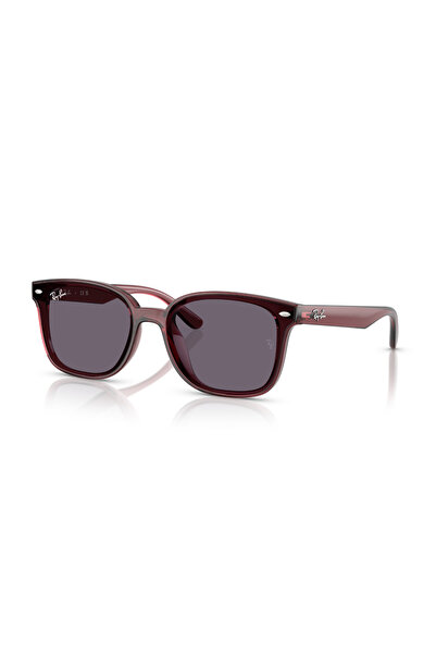 Ray-Ban 4461D 659373 64-17-145 Unisex Güneş Gözlüğü