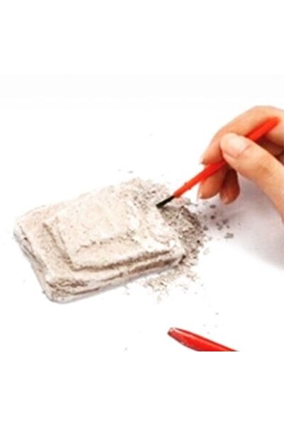 AZİZ OYUNCAK 8 Pieces Red Dinosaur Excavation Kit Science Activity Activity Scientific Project Dinosaur Set