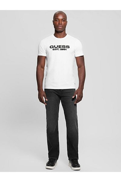 Guess Ss Bsc Velvet Logo Tee Men's White T-Shirt M5Rı50K9Rm1-G011