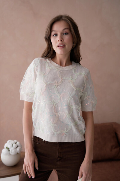 Park Karon Bisiklet Yaka Tül Detaylı Triko Kazak