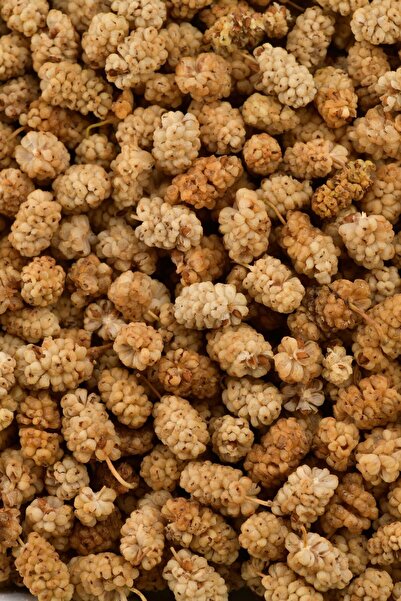 Albeni Dut Kurusu 500 Gr