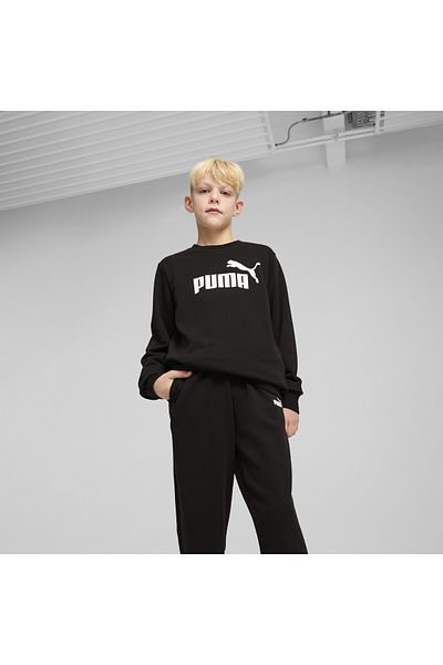 Puma Essentials No. 1 Logo Crew Sweat Suit Youth